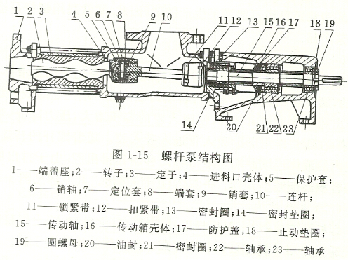 螺桿泵結(jié)構(gòu)圖